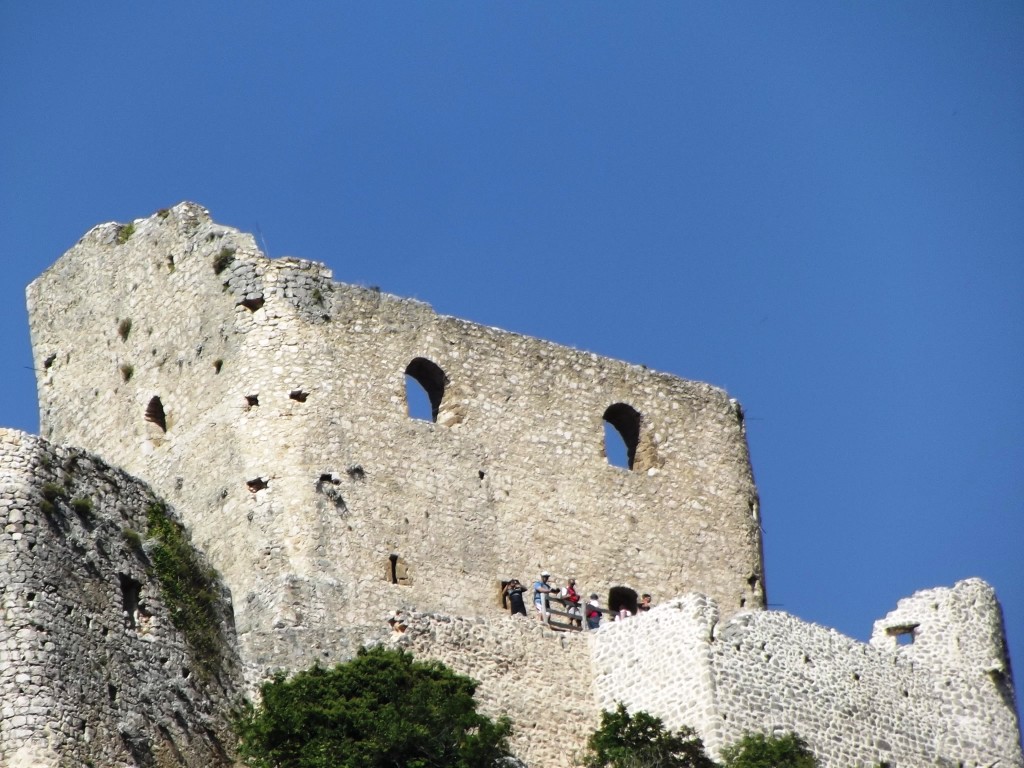 DSCF9682