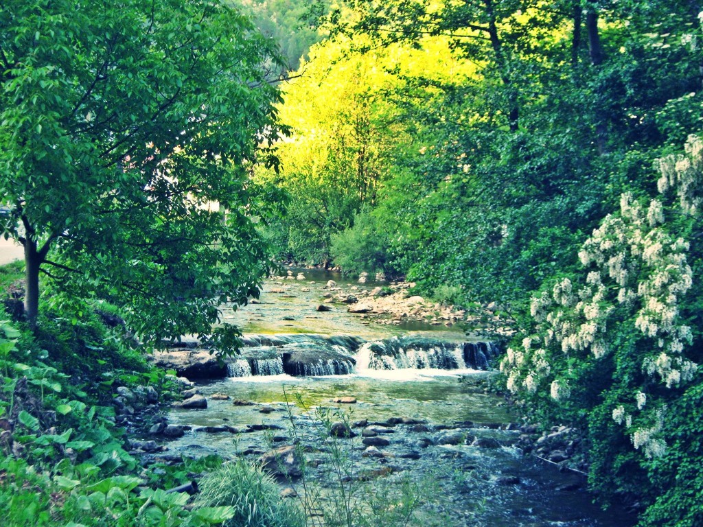 Kraljeva Sutjeska 31