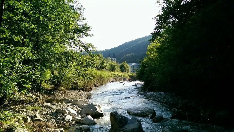 Kraljeva Sutjeska 7