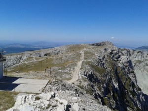 CvrsnicaSedloPlocno2